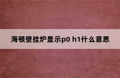 海顿壁挂炉显示p0 h1什么意思